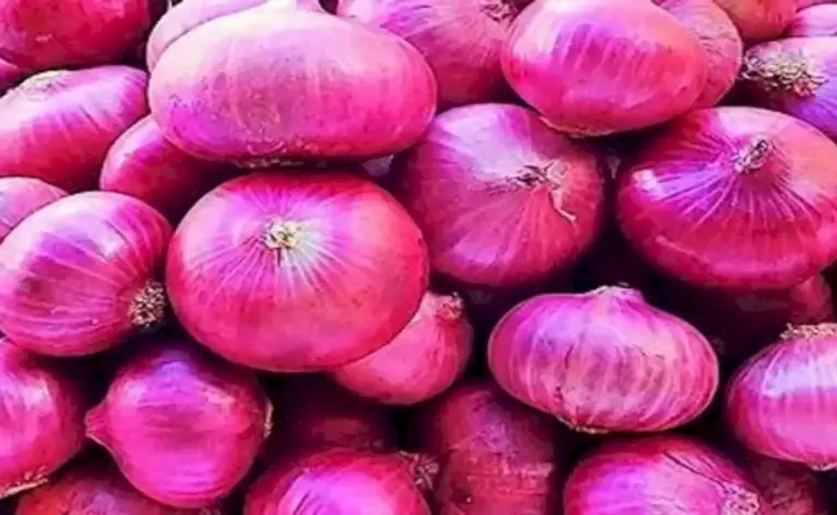 Centre-Allows-Export-Of-Over-99,000-Mt-Of-Onion-To-6-Neighbouring-Countries