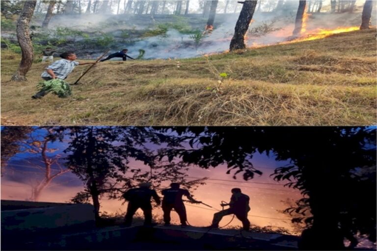 Uttarakhand:-Efforts-To-Combat-Forest-Fire-Underway;-Eight-Persons-Involved-In-Forest-Fire-Arrested