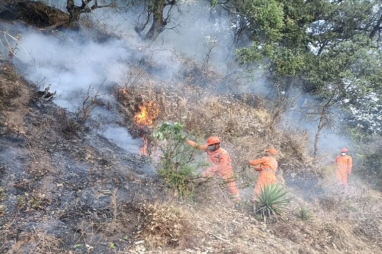 Forest-Fire-Situation-In-Uttarakhand’s-Kumaon-And-Garhwal-Divisions-Significantly-Improved,-With-Effective-Containment-Efforts