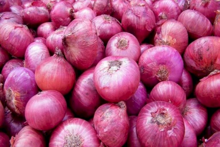 Centre-Lifts-Ban-On-Export-Of-Onions-Subject-To-A-Minimum-Export-Price-Of-550-Dollar-Per-Metric-Ton