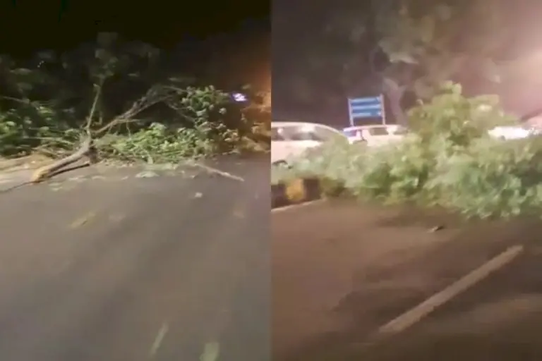 Delhi-Storm-Toll:-Two-Dead,-Six-Injured-As-Trees-Uproot,-Buildings-Damaged