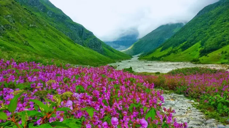 World-Heritage-Valley-Of-Flowers Opens-For-Tourists In-Uttarakhand